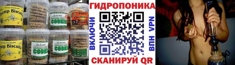 как найти наркотики  Новодвинск  Canna-Cookies конопля 