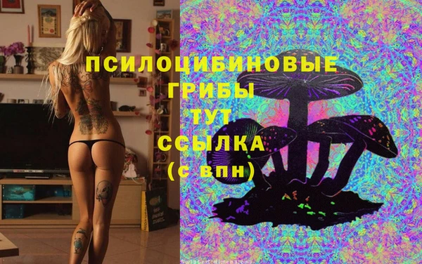 круглые Аркадак