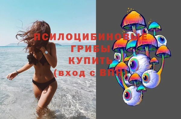 круглые Аркадак