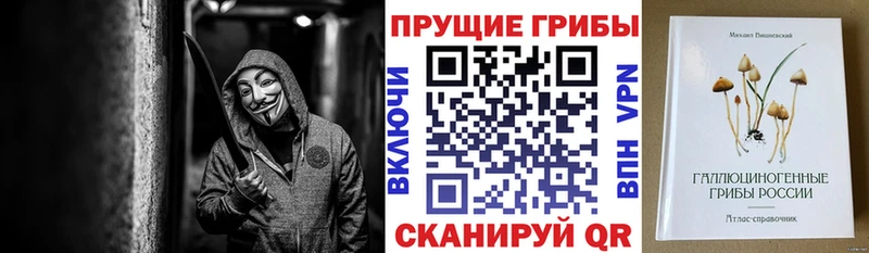Псилоцибиновые грибы прущие грибы  Новодвинск 