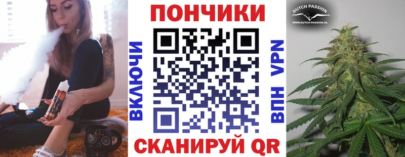 Шишки марихуана марихуана  Новодвинск 