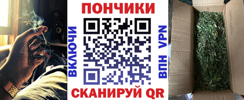 Шишки марихуана план Новодвинск